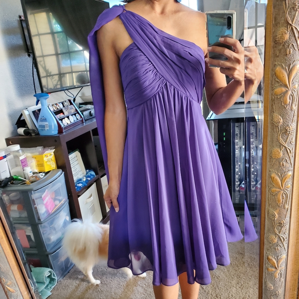 Purple Chiffon One Sleeve Dress